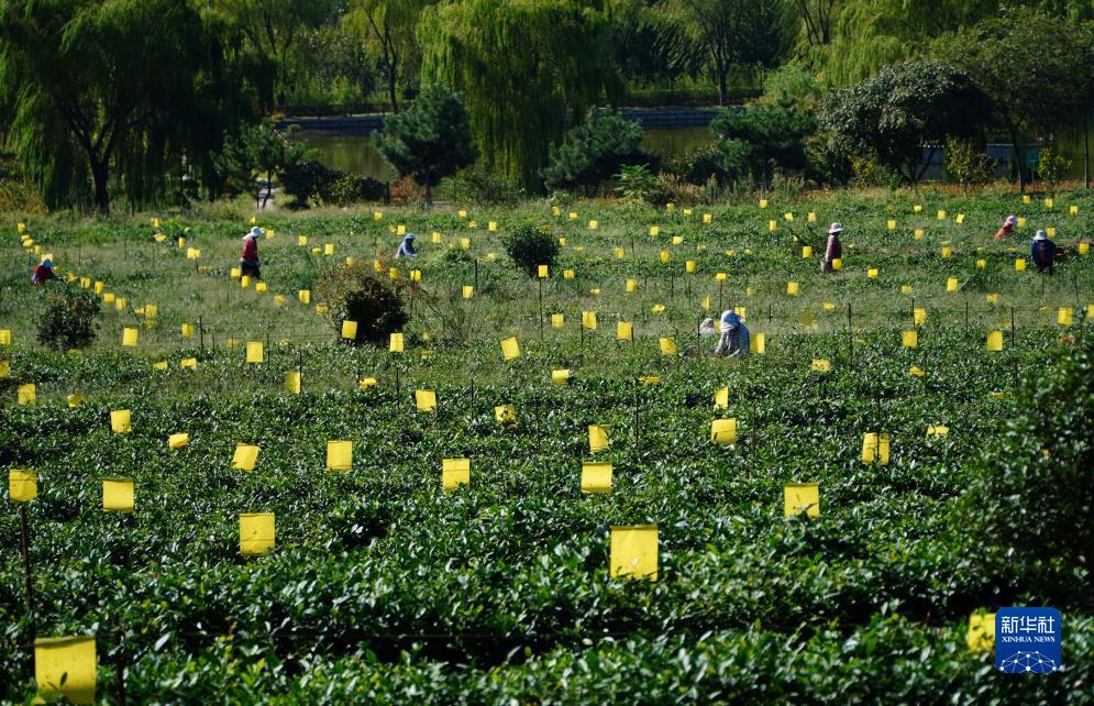 宝马线上娱乐线路测试
